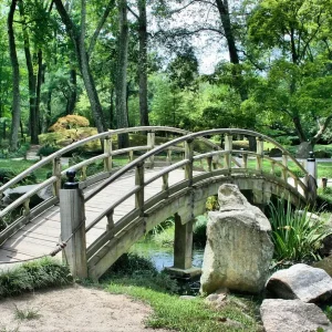 pont-ostéopathie